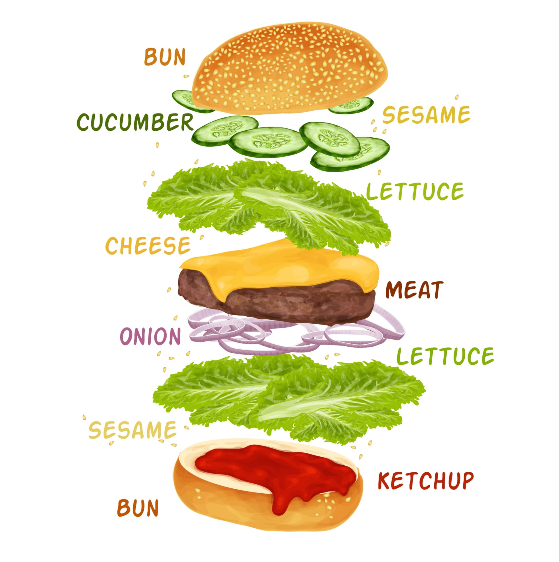 Hamburger Ingredients