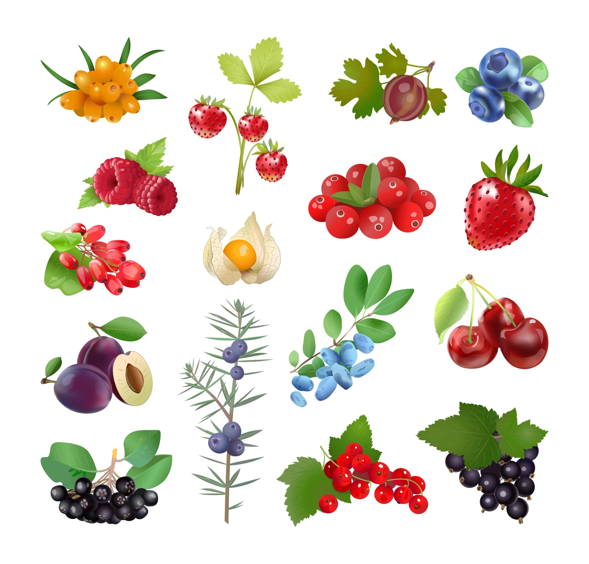 Berries