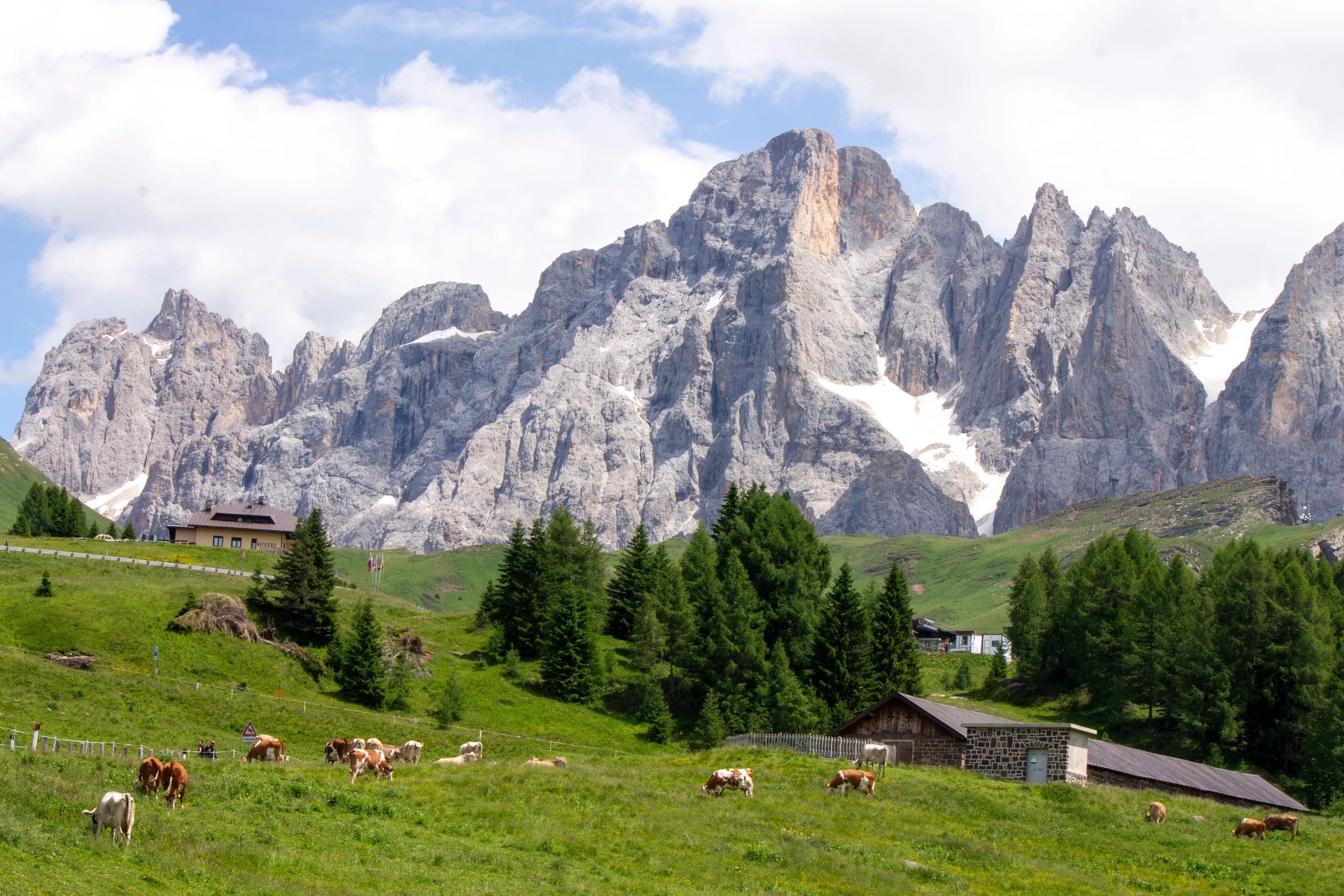 Mountain